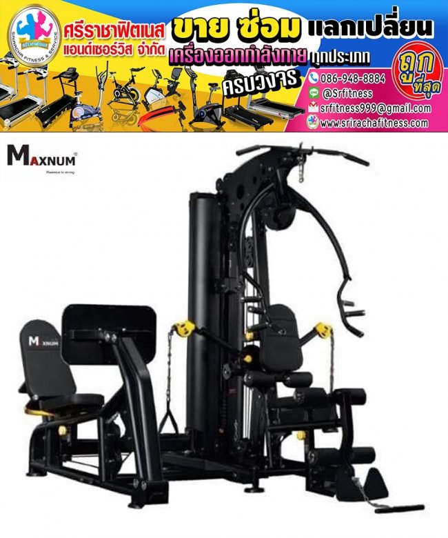 Maxnum  Commercial Two Station Strength Gym ML 8179B